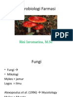 Mikrobiologi Farmasi FUNGI