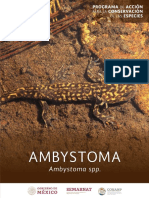 PACE Ambystoma2