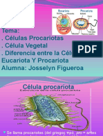 celulas-eucariotas-y-procarotas-120515185037-phpapp02