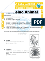 Ficha El Reino Animal para Sexto de Primaria