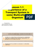 Lesson 1.1 Importance of A Transport System in Some Multicellular Organism