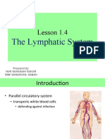 Lesson 1.4: The Lymphatic System