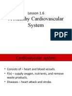 A Healthy Cardiovascular System: Lesson 1.6