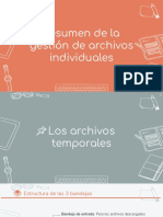 Resumen de La Gestion de Archivos Individuales