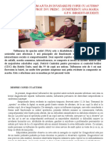 Cum II Putem Ajuta in Invatare Pe Copiii Cu Autism-Cerc Pedagogic