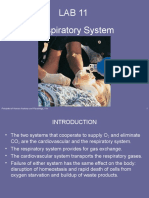 Lab 11 Respiration Mammalian Physiology