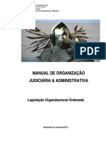 Manual de Organizacao 2013 09
