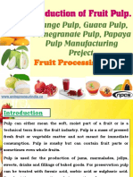 Production of Fruit Pulp. Mango Pulp, Guava Pulp, Pomegranate Pulp, Papaya Pulp Manufacturing Project. Fruit Processing Plant.-160322