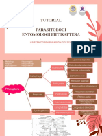 Tutorial Entomologi Pthiraptera