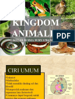 Kingdom Animalia