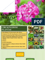 Kingdom Plantae