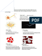 General Biology - Types of Cells