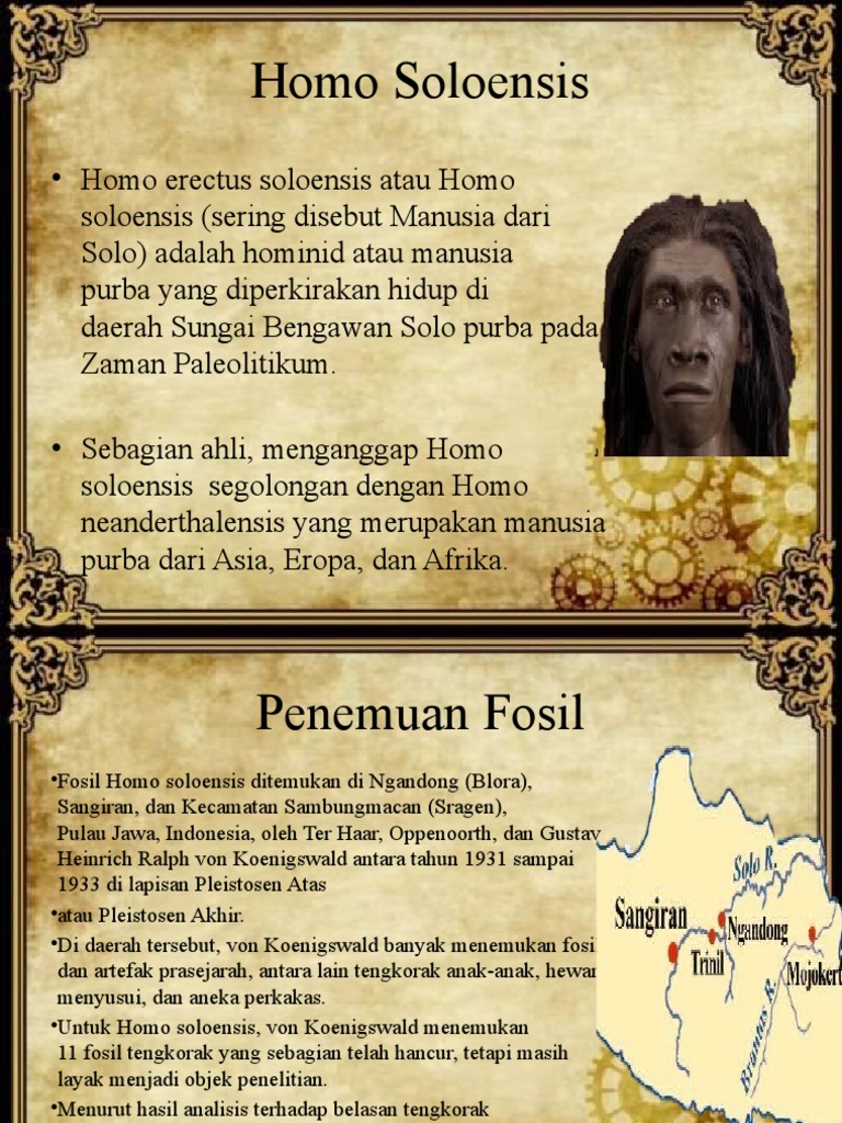 Rangkuman Homo Soloensis PDF Fiksi Umum