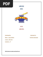 Java File 2021