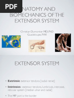 Brunner Incison Original | PDF | Hand | Finger