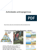 Actividades antropogenicas