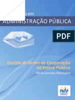 Gestão de Redes de Cooperação Na Esfera Pública