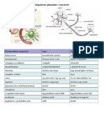 03. Idegrendszer Ábrák Táblázatok_emelt