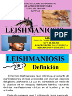 Presentación Leishmaniosis