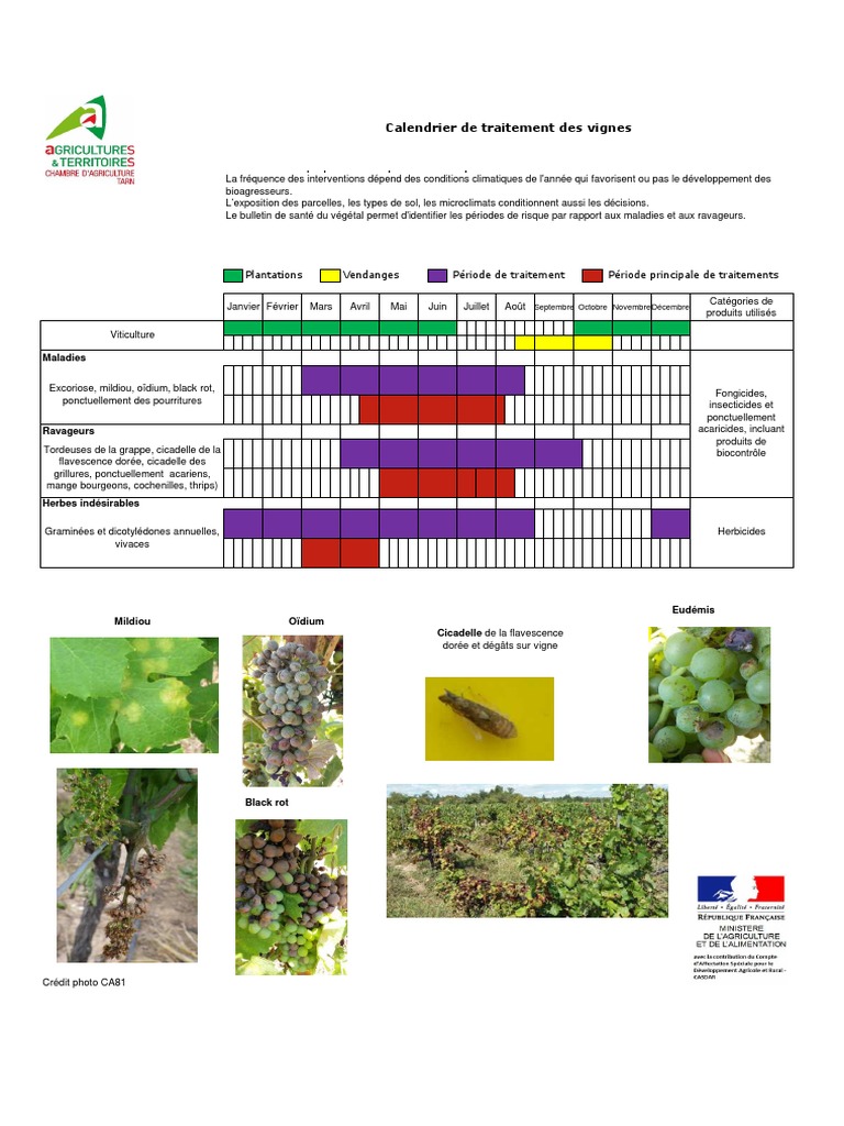 Calendrier De Traitement Des Arbres Fruitiers Pdf Calendrier Traitement Viti | PDF | Viticulture | Agriculture