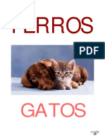 Catálogo Perros y Gatos