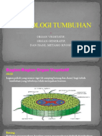 Morfologi Tumbuhan: Organ Vegetatif, Organ Generatif, Dan Hasil Metamo Rfosis