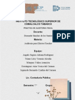 Practica de Auditoria Fiscal-1