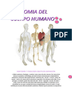 Anatomia Del Cuerpo Humano