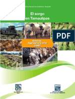 El Sorgo en Tamaulipas. Censo Agropecuario 2007 - INEGI