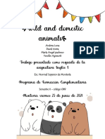 Activity N°8 - Wild and Domestic Animals