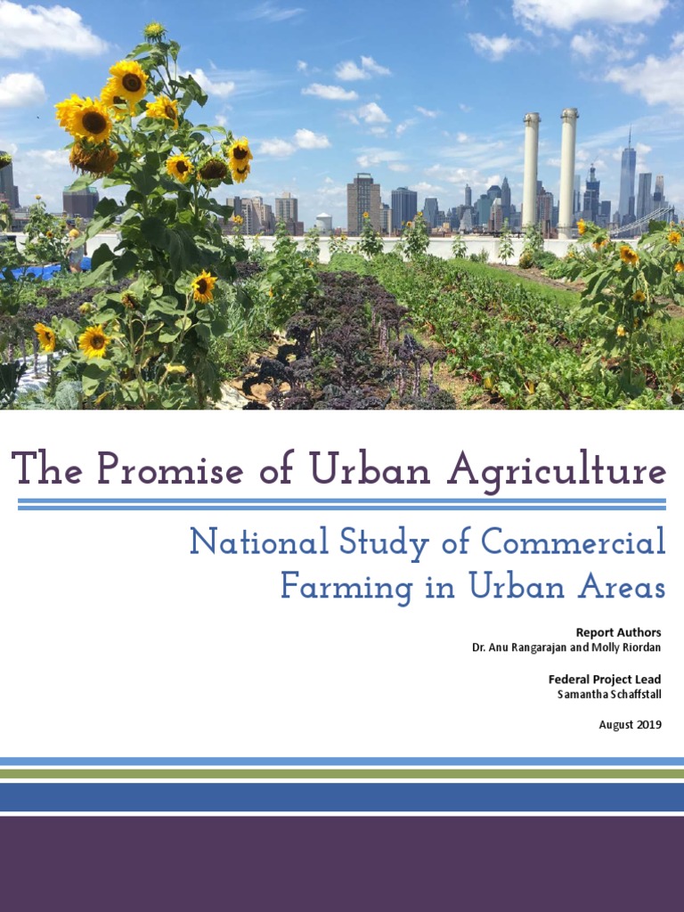 Promise of Urban Agriculture | PDF | Urban Agriculture | Agriculture