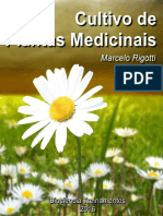 Cultivo de Plantas Medicinais