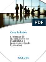 Caso - Practico - Sistemas de Inf Marketing