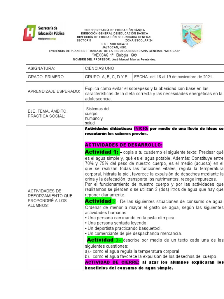 Plan de Trabajo: Dieta y Salud Adolescente | PDF | Dieta | Obesidad