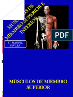 Musculos de Miembro Superior e Inferior-2021