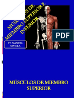Músculos y huesos del cuerpo humano: miembros superior e inferior
