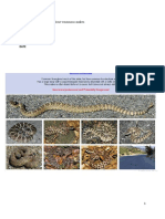 Project Proposal: Learning About Venomous Snakes.: Instructor Course Date