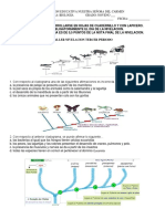 Taller de Nivelación Tercer Periodo Grado 9 2021