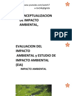 Trabajo de Impactos Ambientales Edwuin