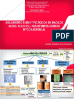 Practica Microbiologia Semana 7