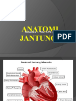  Anatomi Jantung