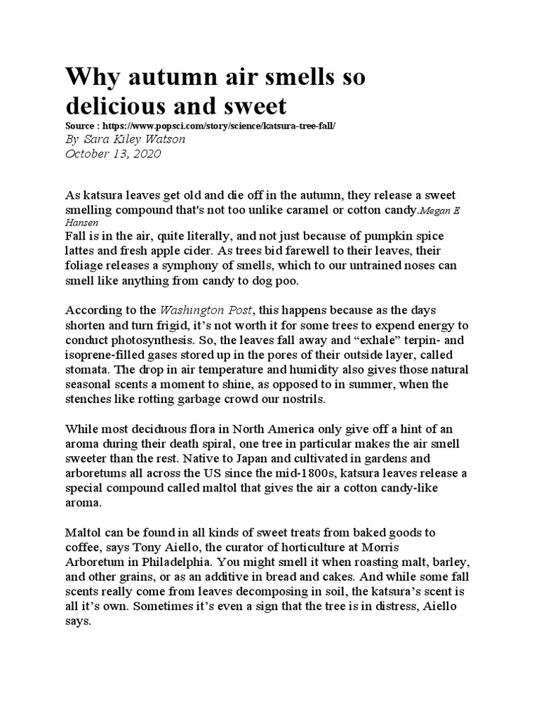 Why Autumn Air Smells So Delicious and Sweet by Sara Kiley Watson