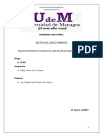 Segundo Avance Gestion Del Medio Ambiente