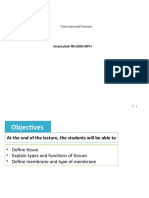 Ikramullah RN BSN MPH: Tissues Types and Functions