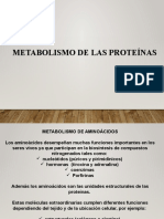 Metabolismo de Proteinas