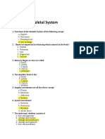 Skeletal System Functions and Anatomy