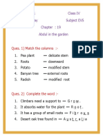 Date: 24/11/21 Class Iv Day: Wednesday Subject Evs Abdul in The Garden