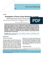 Propagation of Pecan (Carya Illinoensis) : A Review