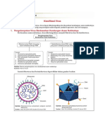 KLASIFIKASI VIRUS
