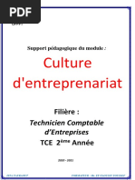 cours culture entreprenariat TCE